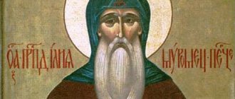Icon of the Venerable Ilya Muromets 