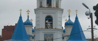 Domes of the Cathedral in Samara