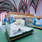 Oceanographic Museum in a former church in Stralsund