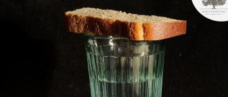 Рюмка водки и кусок хлеба возле фото умершего