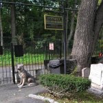 Во многих странах существуют специальные кладбища для животных